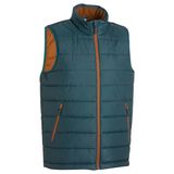 Quechua(ケシュア) ARPENAZ 50 メンズ ハイキング ベスト 364622-8317717 ダウン&中綿ベスト(メンズ)