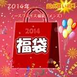 THE NORTH FACE(ザ･ノース･フェイス) 2014年 ノースフェイス福袋(メンズ)   ブルゾン(メンズ)