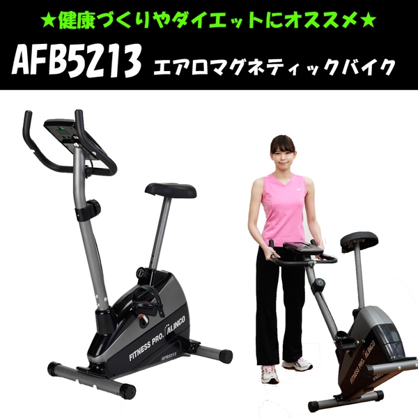 アルインコ(ALINCO) AFB5213 エアロマグネティックバイク5213 AFB5213 エアロバイク