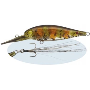 Go[O[(EVERGREENj oNVbhlhc