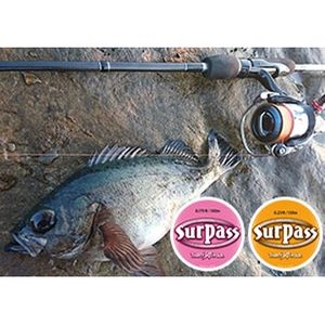 RSiT[eB[tH[j T[pXirj@PWO