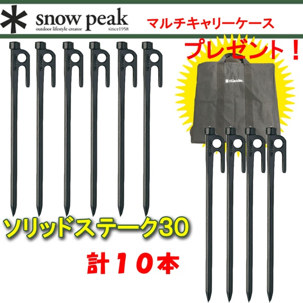 スノーピーク(snow peak) ソリッドステーク 30×10本+マルチキャリーケース R-103 ペグ