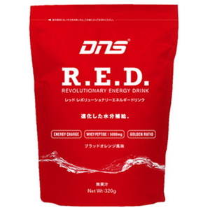 DNS ҡšġʴݡĥɥ  ֥åɥ̣ RED320