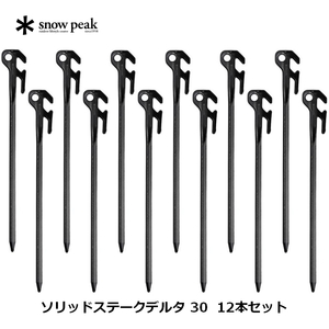 【送料無料】スノーピーク(snow peak) ソリッドステークデルタ 30 12本セット 12本セット R-403 【送料無料】スノーピーク(snow peak) ソリッドステークデルタ 30 12本セット 12本セット R-403