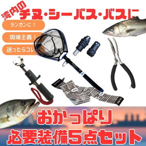 ナチュラム 湾奥のチヌ･シーバス･バスにおススメ!おかっぱり必要装備(5点セット)  