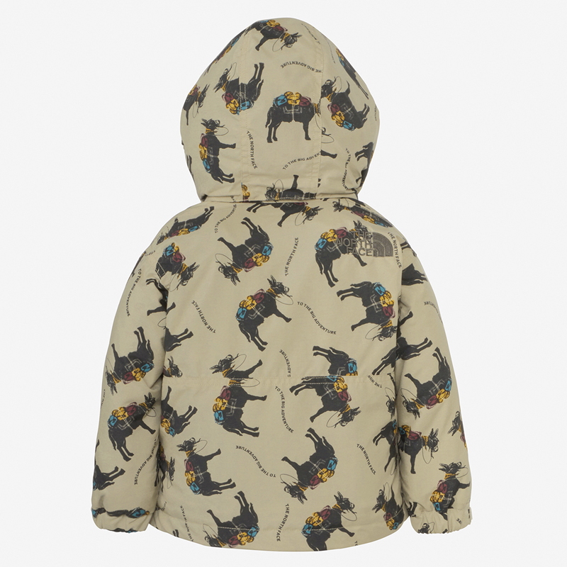 THE NORTH FACE(ザ・ノース・フェイス) ノベルティ コンパクト ノマド