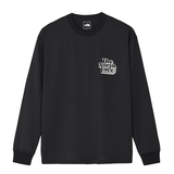 THE NORTH FACE(ザ･ノース･フェイス) ロングスリーブフリーラングラフィッククルー メンズ NT62593 長袖Tシャツ(メンズ)