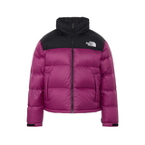 THE NORTH FACE(ザ･ノース･フェイス) ショートヌプシジャケット レディース NDW92555 中綿･ダウンジャケット(レディース)
