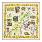 The Printed Image(ザ プリンテッド イメージ) ネイチャープリントバンダナ 11180001000057 バンダナ