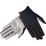 THE NORTH FACE(ザ･ノース･フェイス) TREKKING GLOVE NN61430 インナー･フリースグローブ(アウトドア)