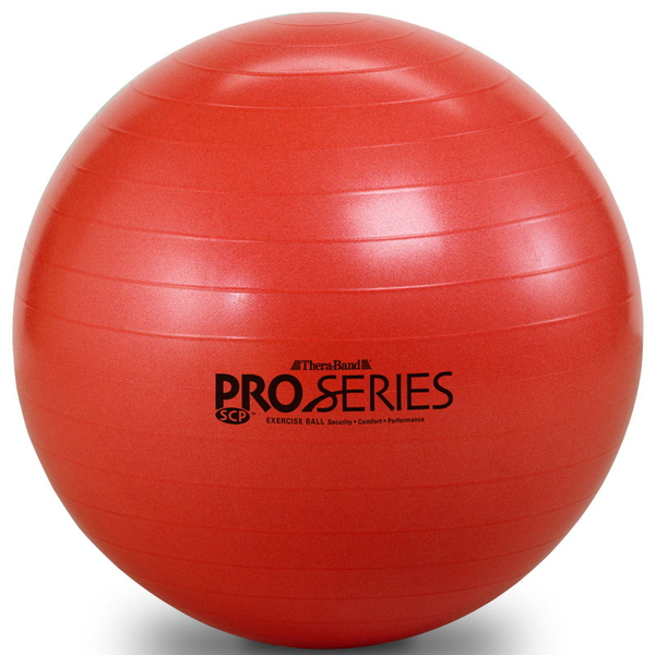 D&M (ディーアンドエム) SDSエクササイズボール SDS55 バランスボール･バランスディスク