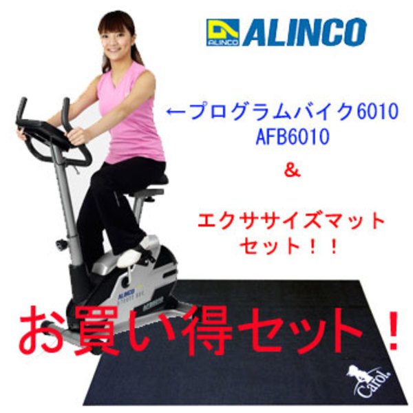 アルインコ(ALINCO) アルインコ プログラムバイク 6010 × エクササイズマットセット AFB6010
