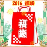 アクシーズクイン(AXESQUIN) 2016年 AXESQUIN(アクシーズクイン)福袋 レディース FK0053 中綿･ダウンジャケット(レディース)