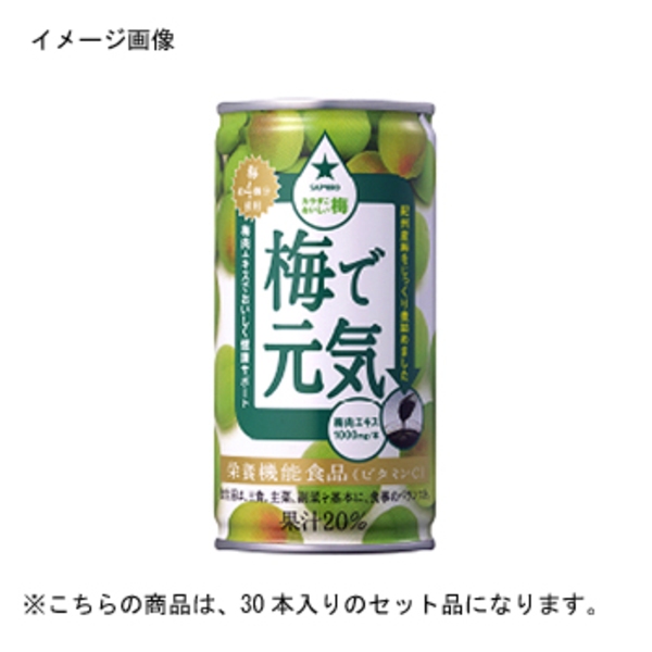 サッポロ(SAPPORO) 梅で元気 缶 【1ケース (190g×30本)】   ウメ果実飲料
