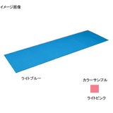 秦運動具工業 (HATAS) ヨガマットPER(エコ) YK500P バッグパーツその他