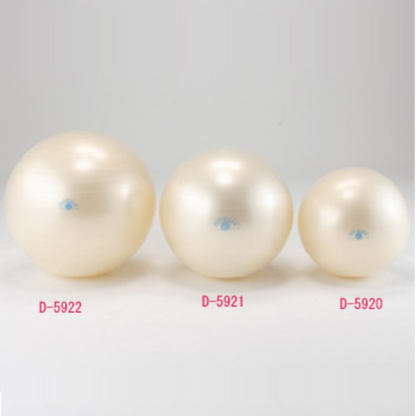 ダンノ(DANNO) D-5921 フィットボール D-5921 バランスボール45cm～75cm