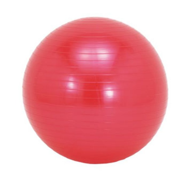 ソフタッチ(softouch) エクササイズボール 直径55cm･レッド SO-BAL55 バランスボール･バランスディスク