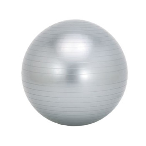 ソフタッチ(softouch) エクササイズボール 直径65cm･シルバー SO-BAL65 バランスボール･バランスディスク