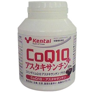 Kentai(N̗͌) RGUCpPO@AX^LT`@vX