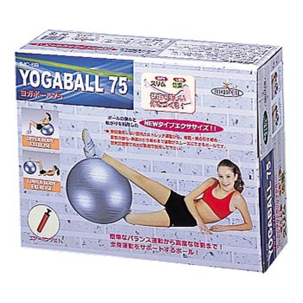 鉄人倶楽部 ヨガボール IMC-69 バランスボール45cm～75cm
