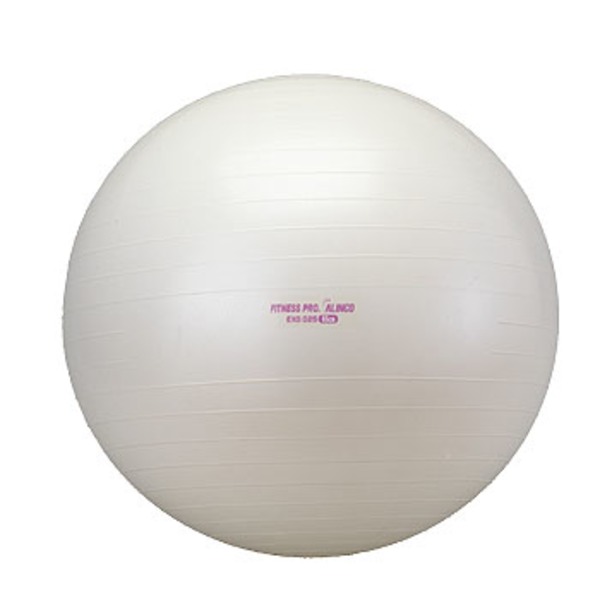 アルインコ(ALINCO) エクササイズボール EXG025 EXG025 バランスボール45cm～75cm