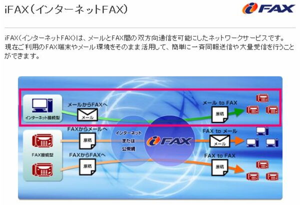 ナチュラム 商品番号8桁化テスト 画像テスト22 AAAAAAAA プレゼント品