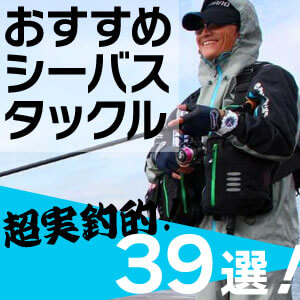 【超実釣的】オススメの超実釣的シーバスタックル39選！！