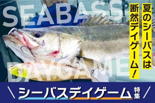 シーバスデイゲームおすすめアイテム