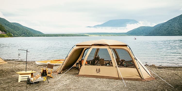 左右対称の美しいフォルム