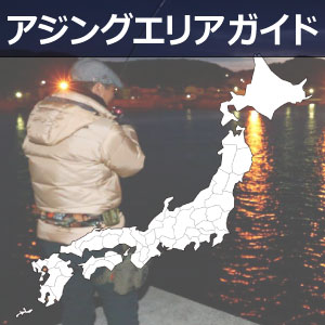 アジング エリアガイド
