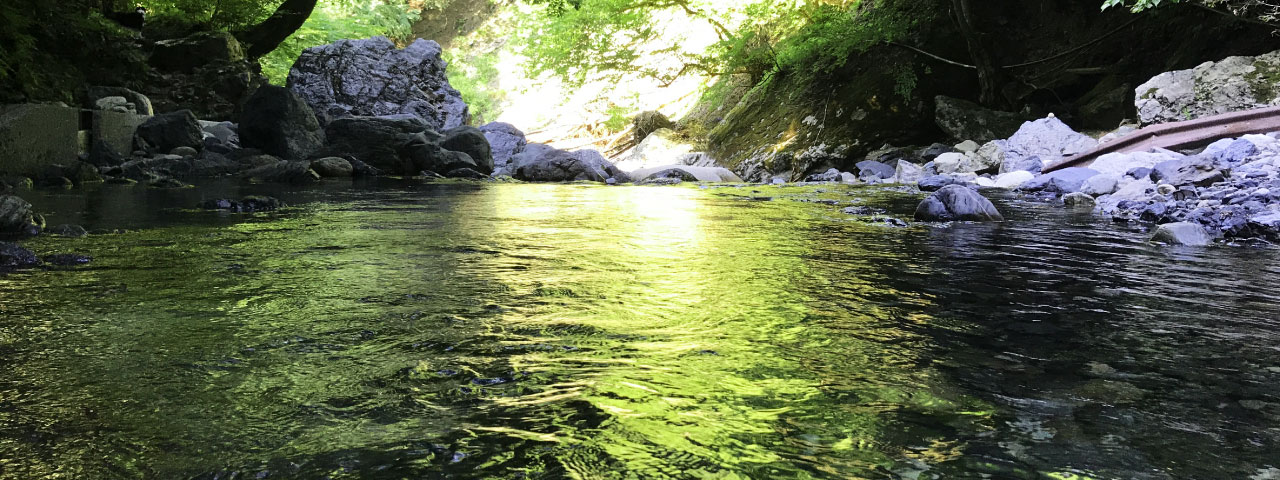 滋賀県湖西の武奈ヶ岳から流れる安曇川