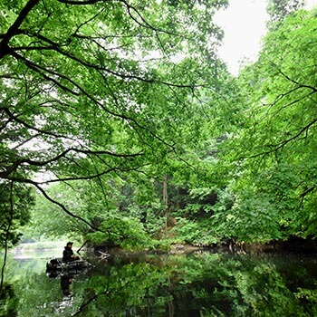 you be 森林浴とわたし