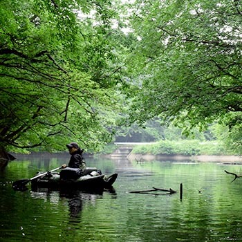 you be 森のトンネル