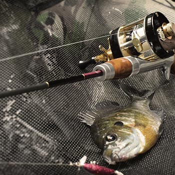 you be ギルといっしょ