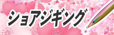ショアジギング