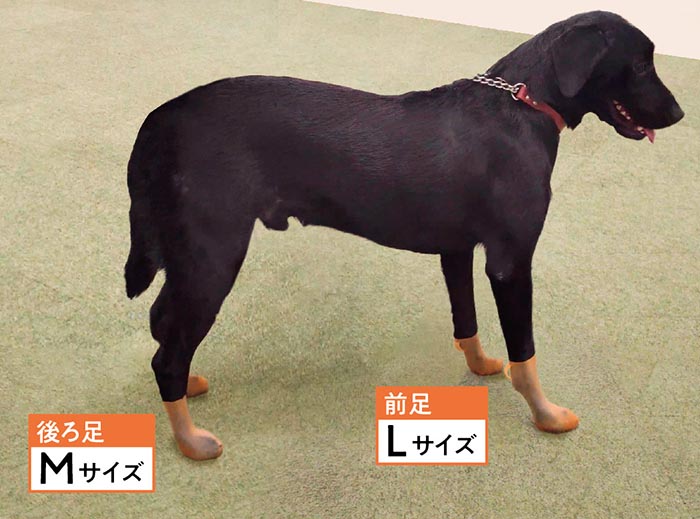 pawtect パウテクト　犬の靴　Mサイズ