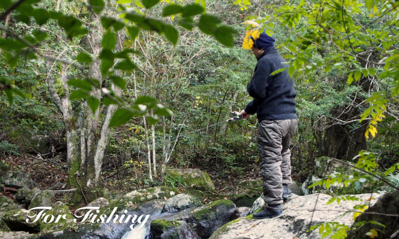 ダウン カーゴ パンツ