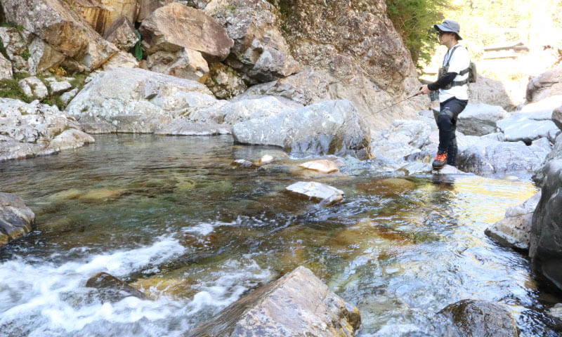 AccurateStick(アキュレートスティック) BF411-ASL-Rey-4(4ピース)