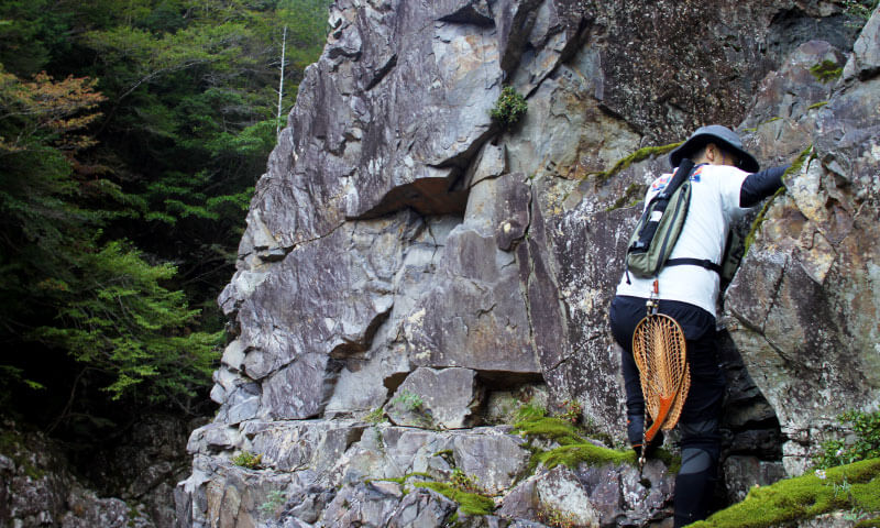 AccurateStick(アキュレートスティック) BF411-ASL-Rey-4(4ピース)