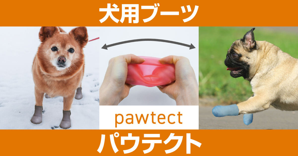 pawtect パウテクト　犬の靴　Mサイズ