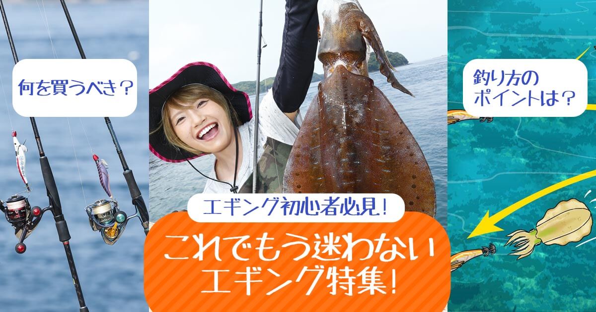 初心者必見 イカ釣りの方法やエギングにおすすめのタックル選びをご紹介 アウトドア用品 釣り具通販はナチュラム