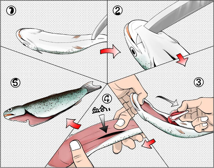 トラウトの捌き方