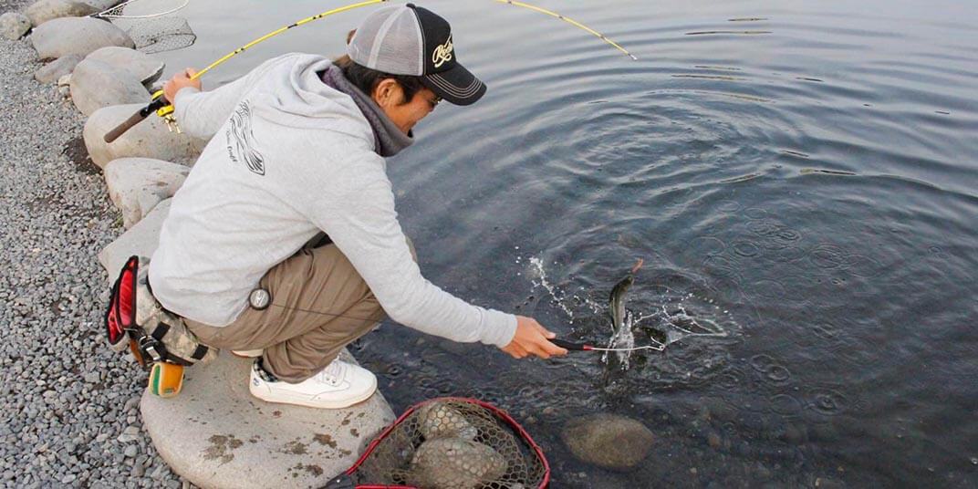 釣った魚は持ち帰れるの？