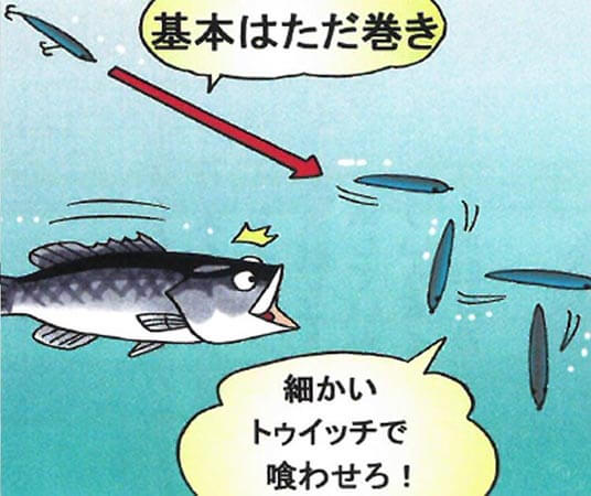 シーバスフィッシングってどんな釣り？基本はただ巻きでOK！