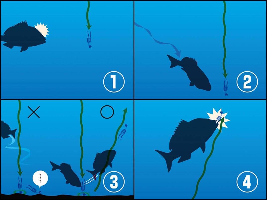 タイラバの釣り方のポイント