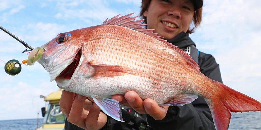 釣れやすい時間帯は、日中も夜も可能だが、おすすめは朝夕マヅメ時