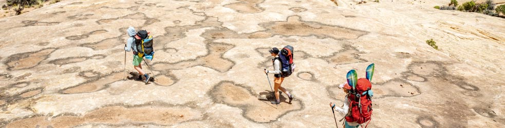 patagonia(パタゴニア)メンズアイテムリスト