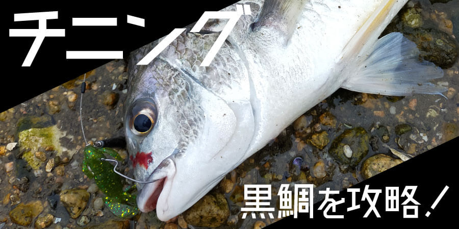 ナチュラム公式|釣り具・釣り用品の通販