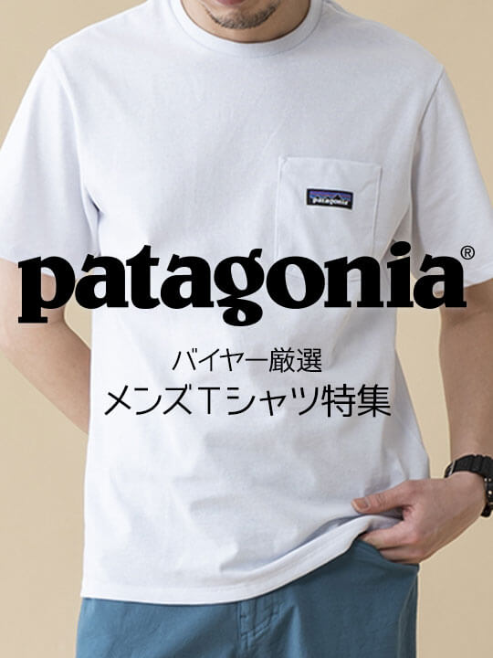 patagonia(パタゴニア) メンズTシャツおすすめ