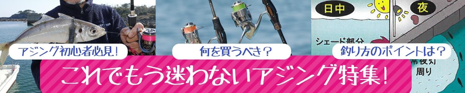 アジング初心者必見！何を買うべき？釣り方のポイントは？これでもう迷わないアジング特集！